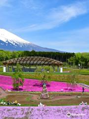 富士山 樹空の森