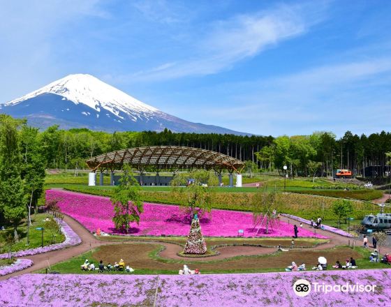御殿場市 自由行套票
