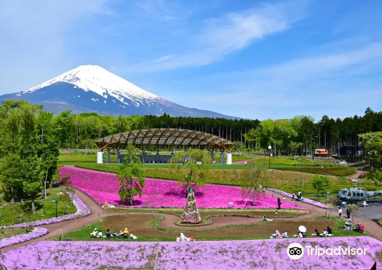 御殿場の天気、御殿場の気温ガイド、旅のベストシーズン、服装のおすすめ