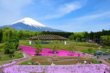 Gotemba