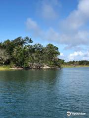 Rachel Carson Reserve