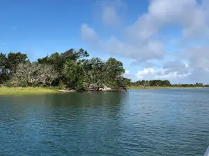Rachel Carson Reserve