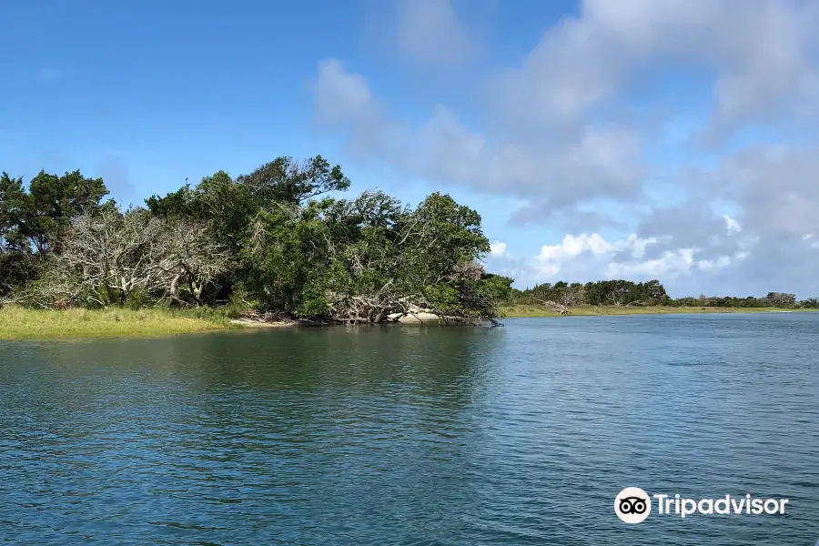 Rachel Carson Reserve