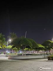 Centro De Manzanillo Colima