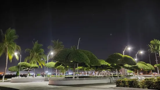 Centro De Manzanillo Colima