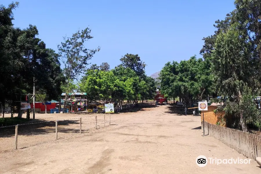 Vivero Forestal de Chimbote