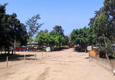 Vivero Forestal de Chimbote