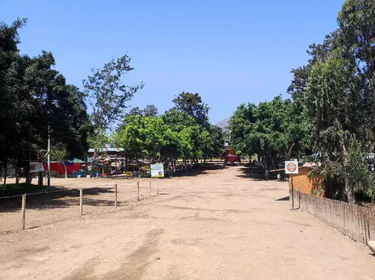 Các khách sạn gần Vivero Forestal de Chimbote