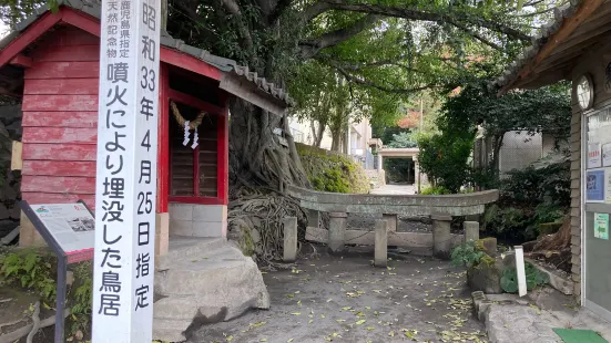 Kurokami Buried Shrine Gate