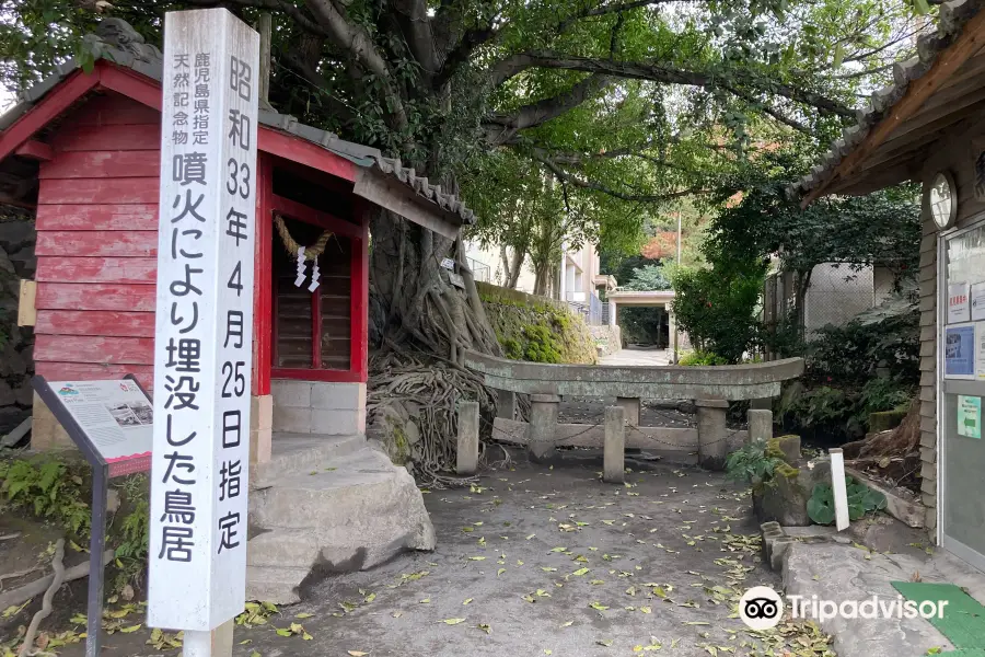 Torii enterrado