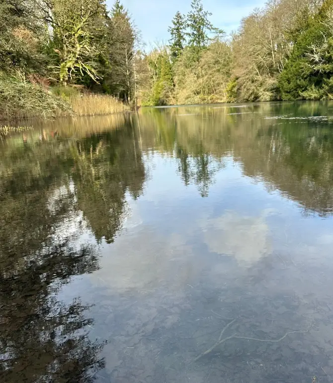 Colesbourne