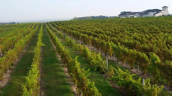 Casa Larga Vineyards