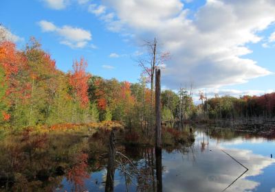 Corinth Reservoir Recreation Area