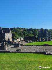 Mellifont Abbey