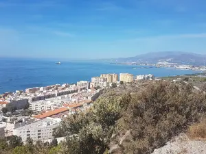 Playa de Torrenueva