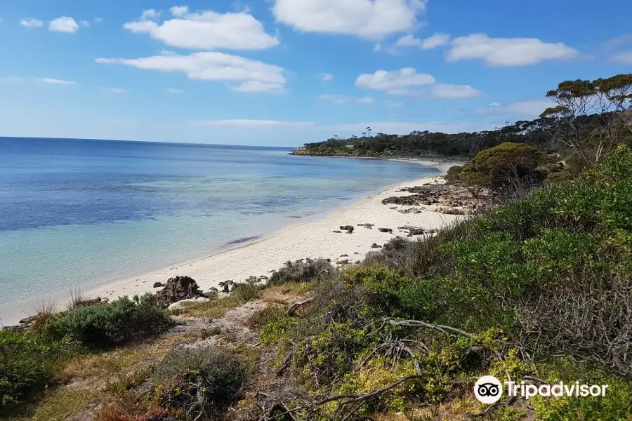 Browns Beach