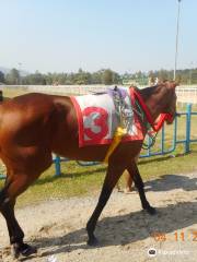 Chiang Mai Racecourse