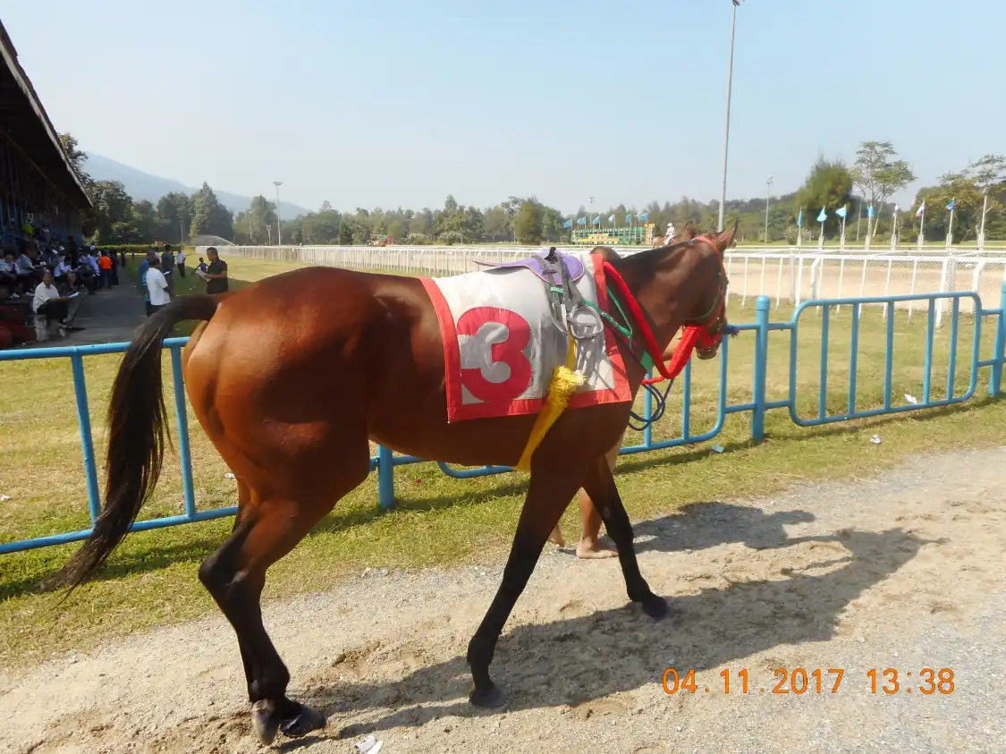 Hotel in zona Chiang Mai Horse Race Course