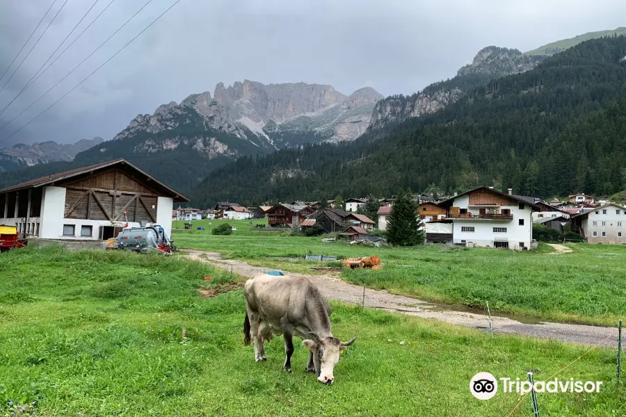 Pista Ciclabile delle Dolomiti