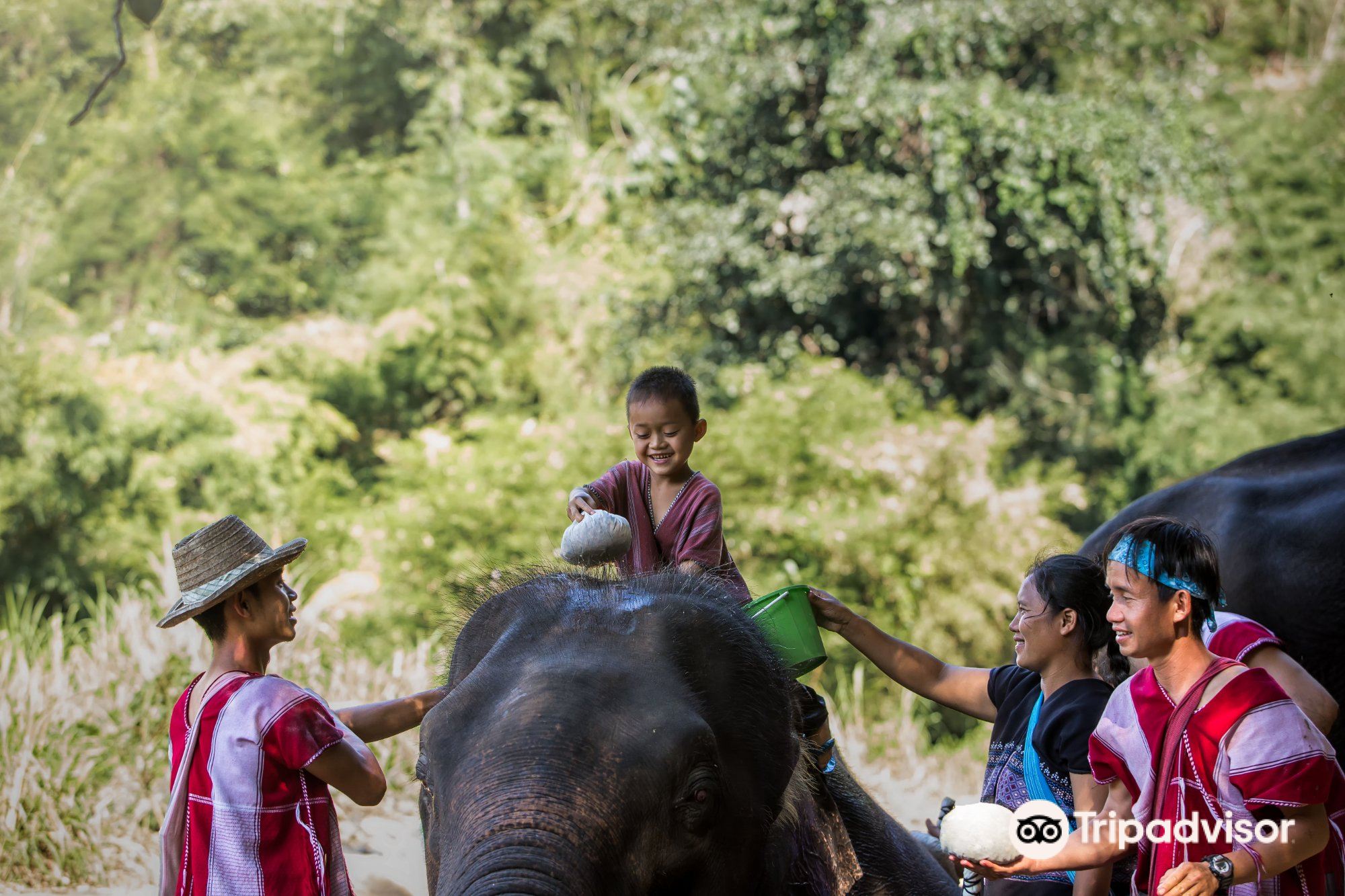 Hotels near Elephant Keeper Maewang