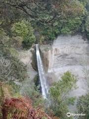 Mount Damper Falls Walk