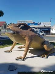 Sarina Big Cane Toad