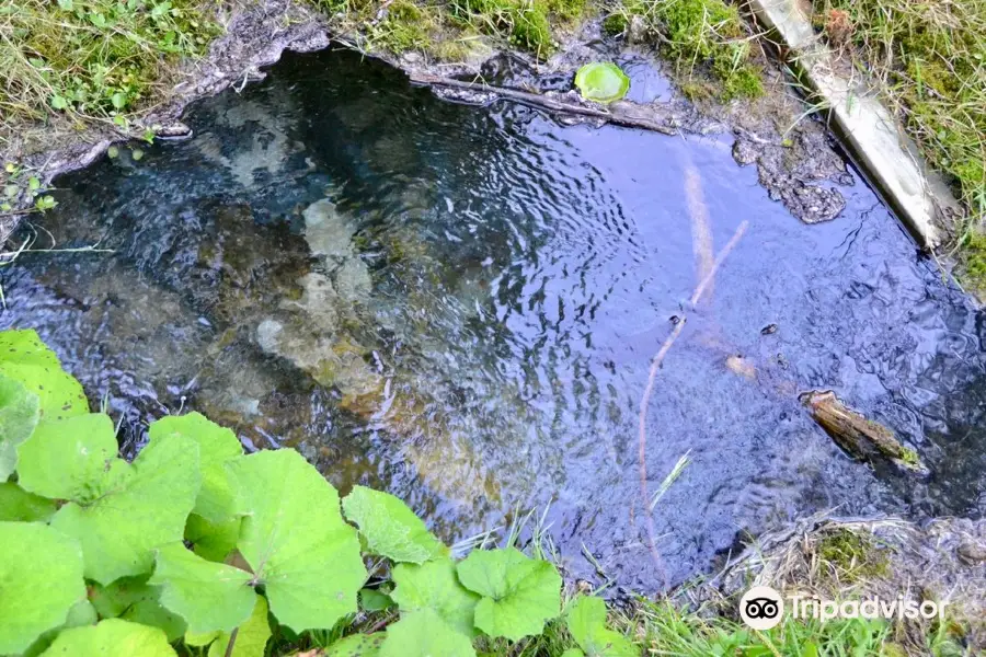 Sulphur Spring Conservation Area