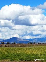 Fresno County Blossom Trail