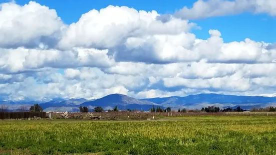 Fresno County Blossom Trail