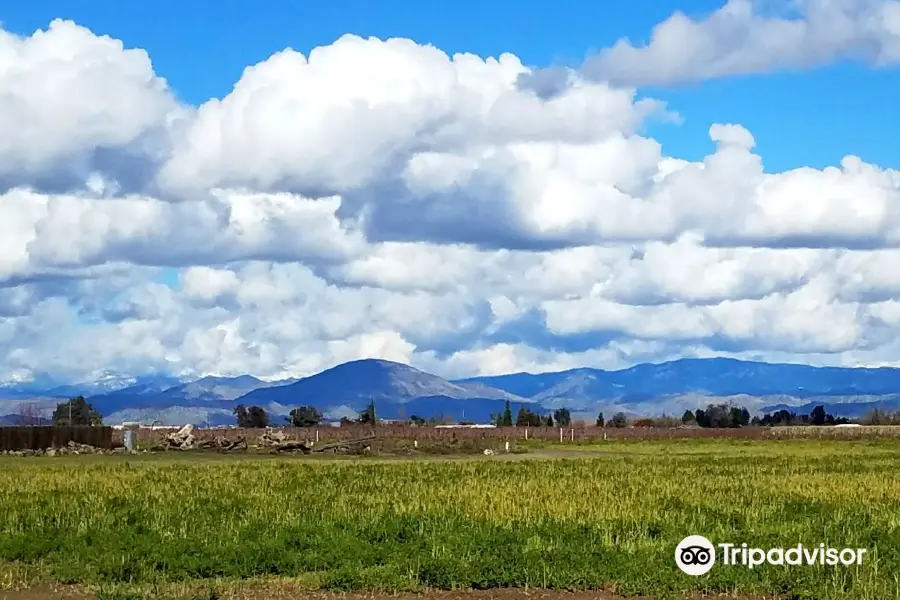 Fresno County Blossom Trail