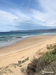 Fairhaven Beach