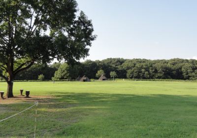 Tsuchiura Archaeology Museum