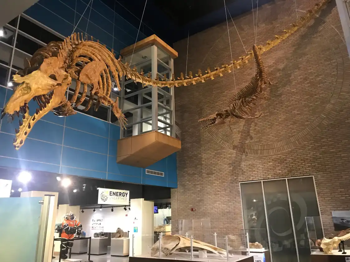Hotels near Lafayette Science Museum