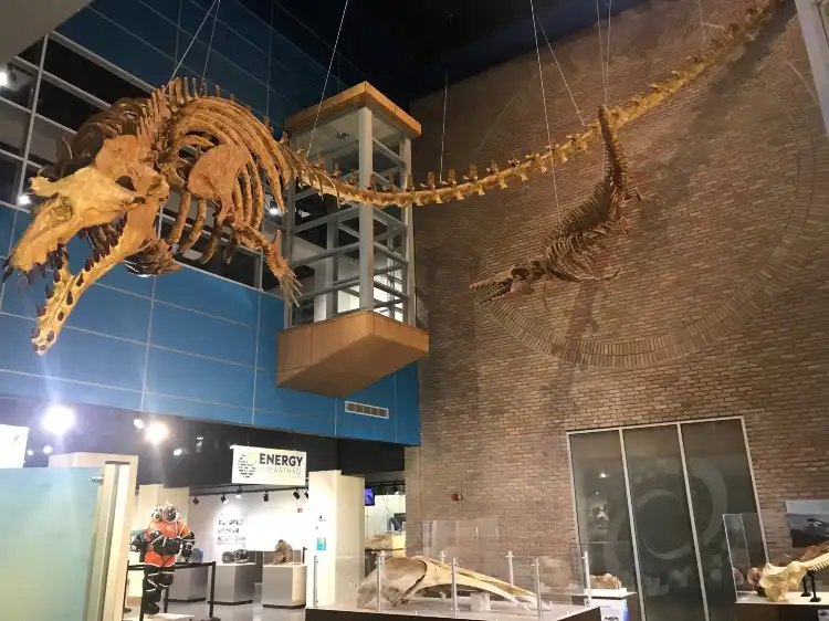 Hotels near Lafayette Science Museum