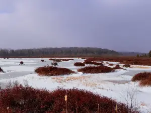 Парк штата Блэк Мошеннон