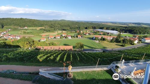 Gesamtsteirische Vinothek