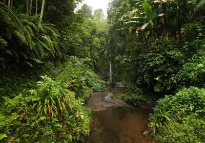 Bombaim Waterfalls