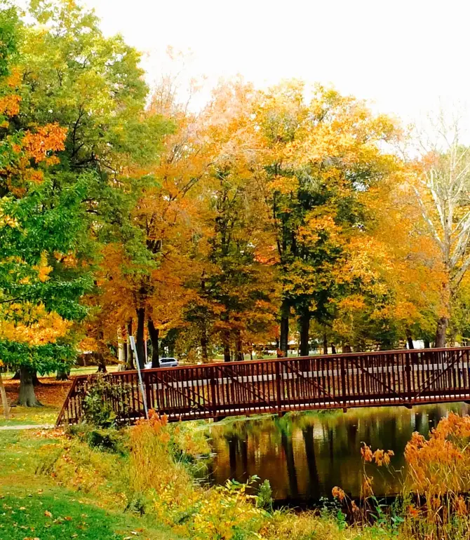 Cranford