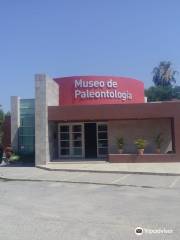 Museo de Paleontologia de Muzquiz