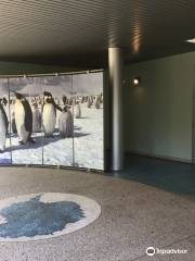 Museo Nazionale dell'Antartide Felice Ippolito