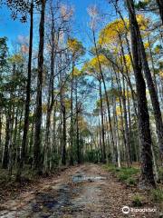 Tillie K. Fowler Regional Park