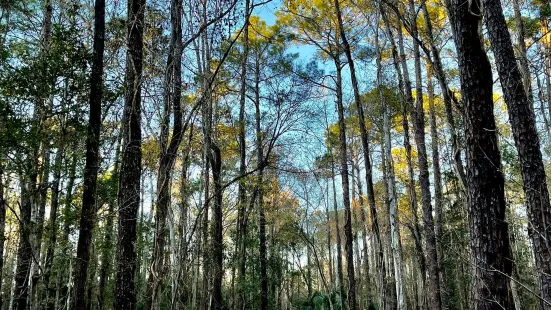 Tillie K. Fowler Regional Park