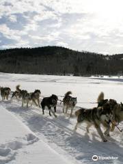 Pagosa Dogsled Adventures