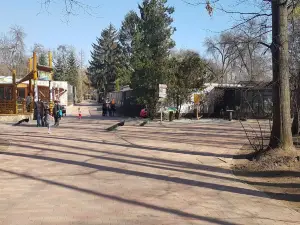 Zoo Sosto