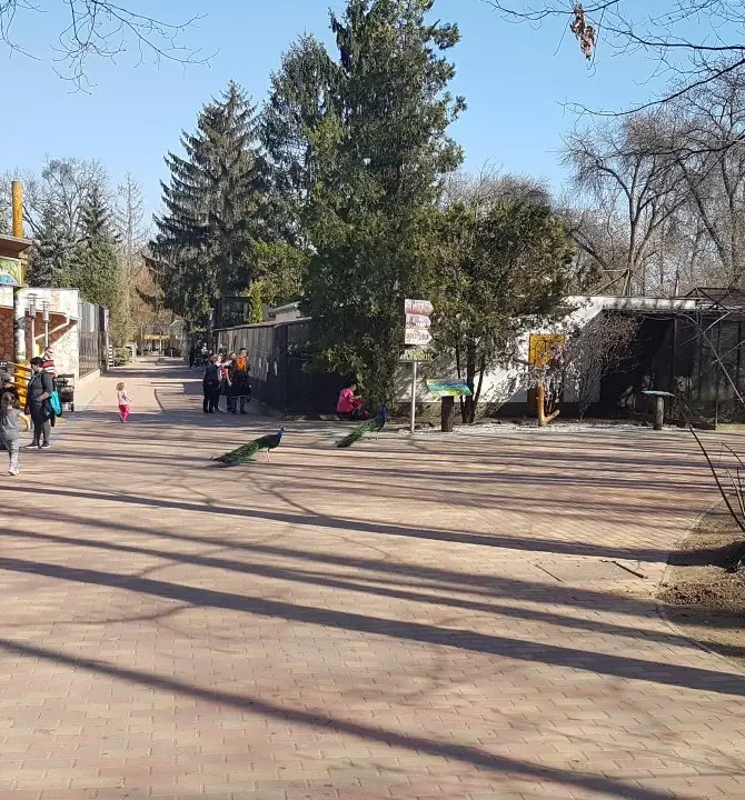 Nyiregyhazai