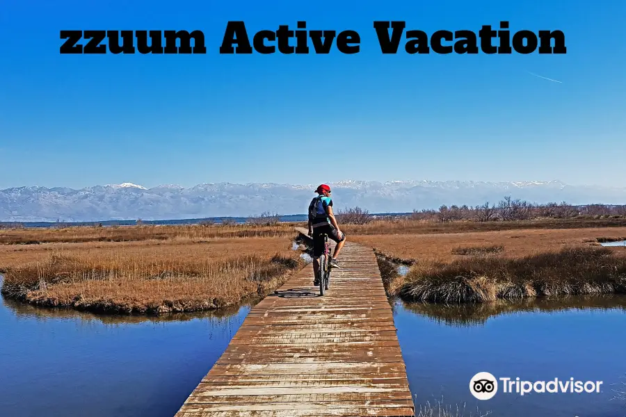 Zzuum - Active Vacation