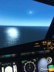 AviaSim Nice - Simulateurs de vol