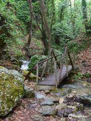 Hike Away in Pelion