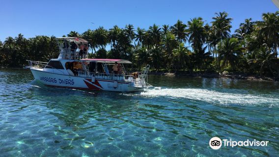Ambergris Divers Belize