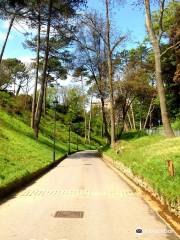 Boscombe Chine Gardens